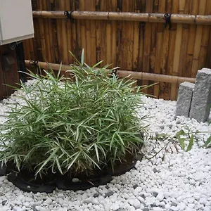  別荘 京都東寺えむず庵